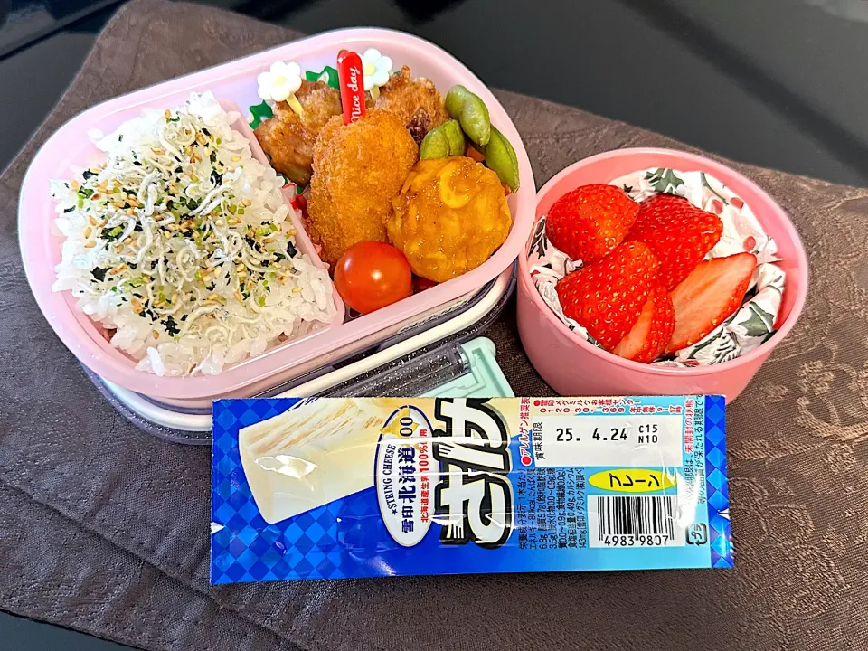 ムスメ弁当|csigapogiさん