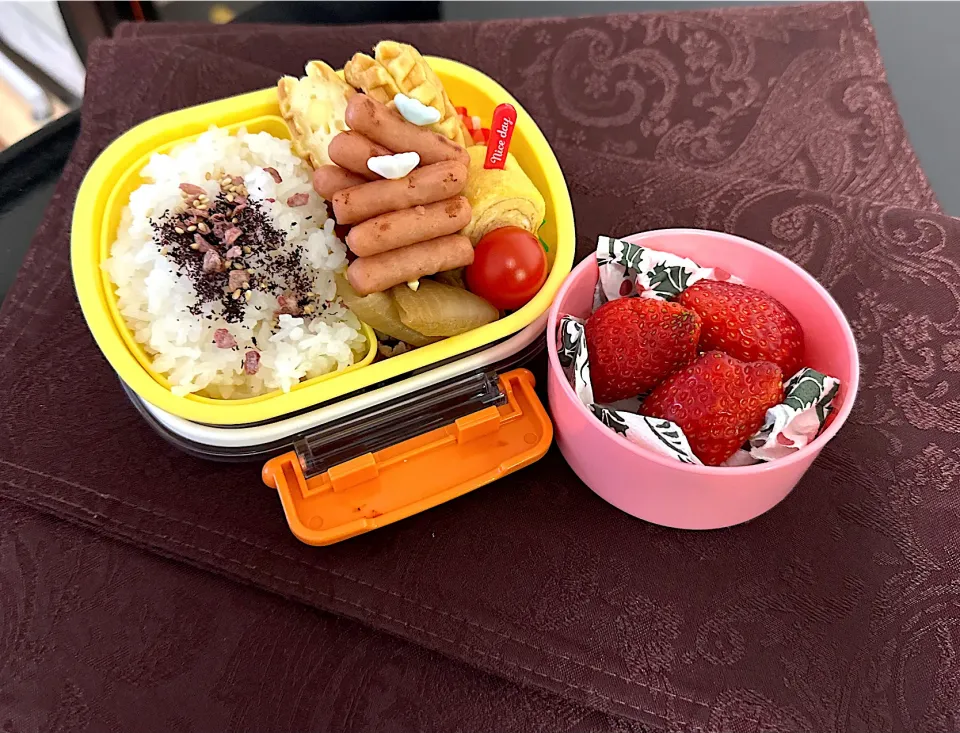 ムスメ弁当|csigapogiさん