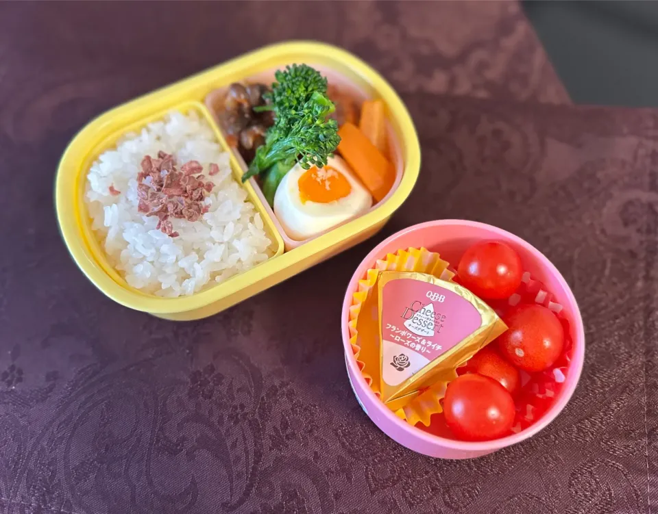 ムスメ弁当|csigapogiさん