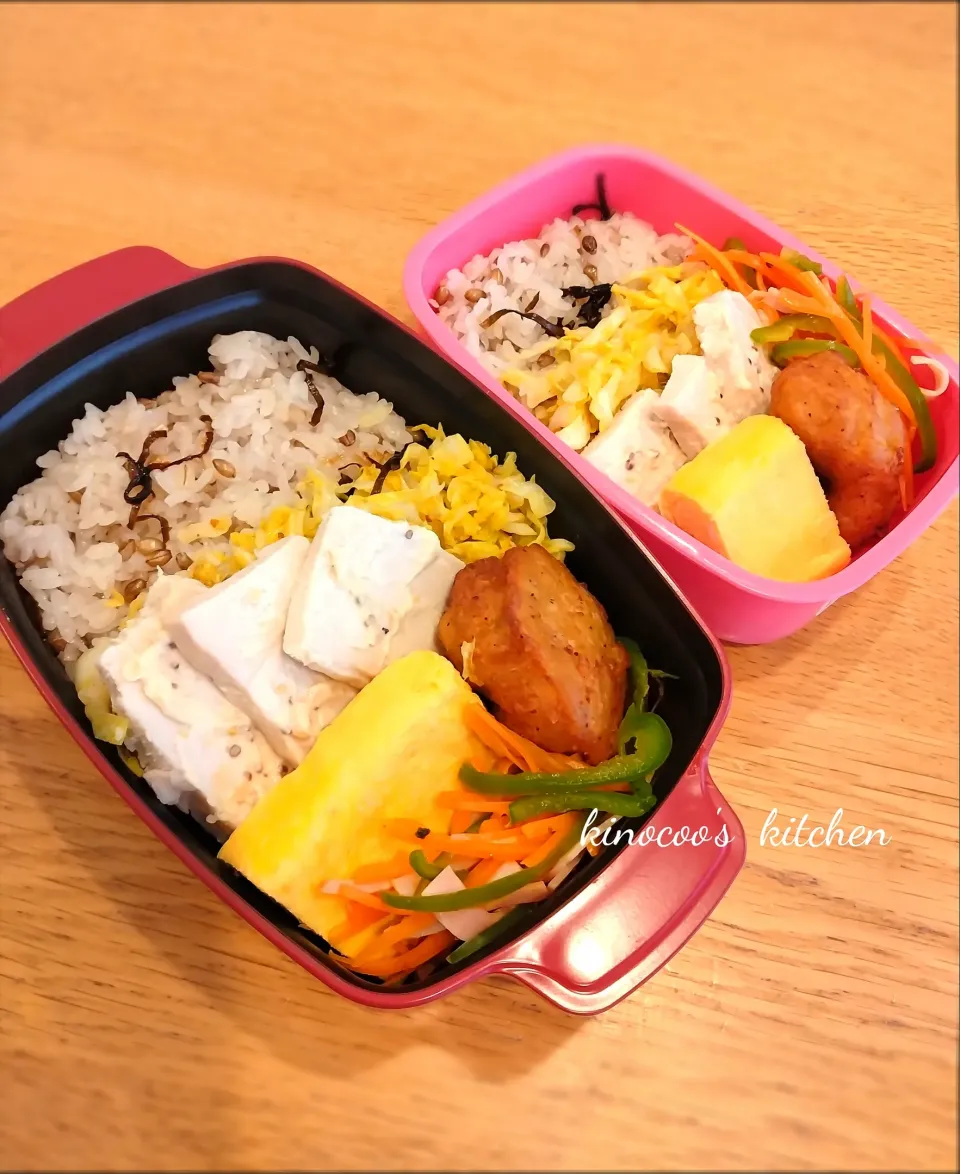 2025.4.15　お弁当|kinocooさん