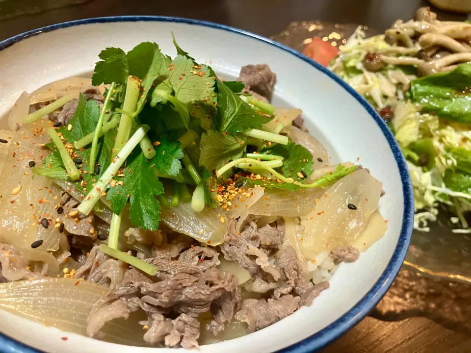 牛丼|tatsuponさん
