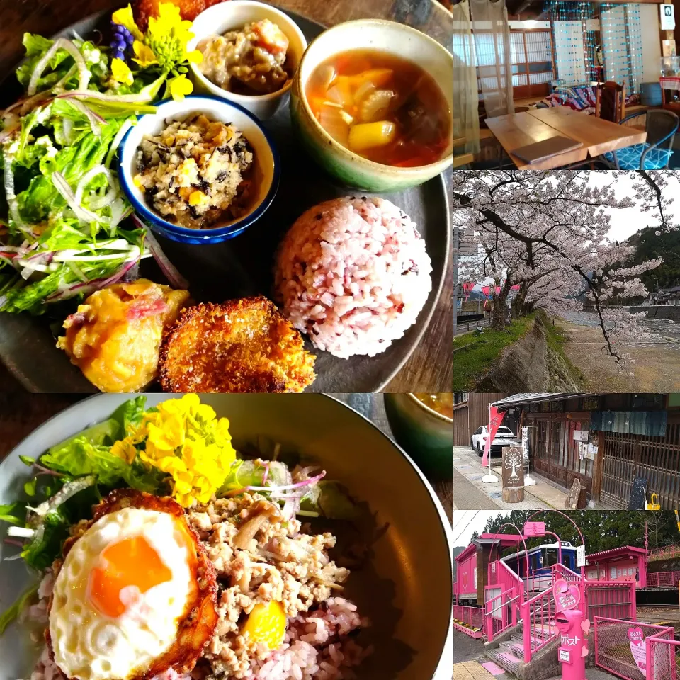 智頭宿で食べるヘルシーランチ|うたかた。さん