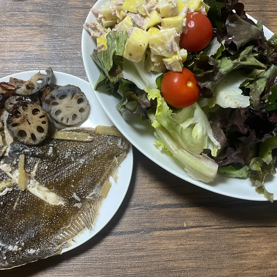 |ごはんーさん