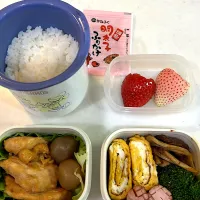 4月17日のお弁当🍱|momotoemiさん