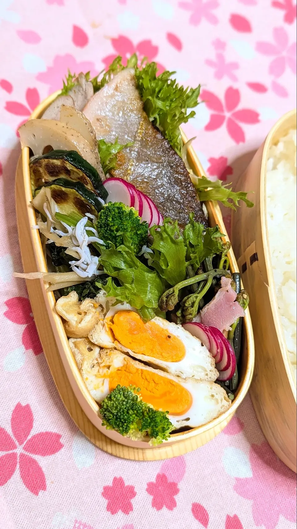 本日のお弁当〜鮭と春の旬弁当|f.1125beさん