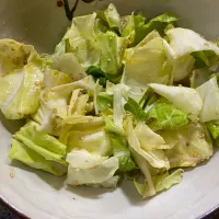 新キャベツの味キャベツ|おかこさん