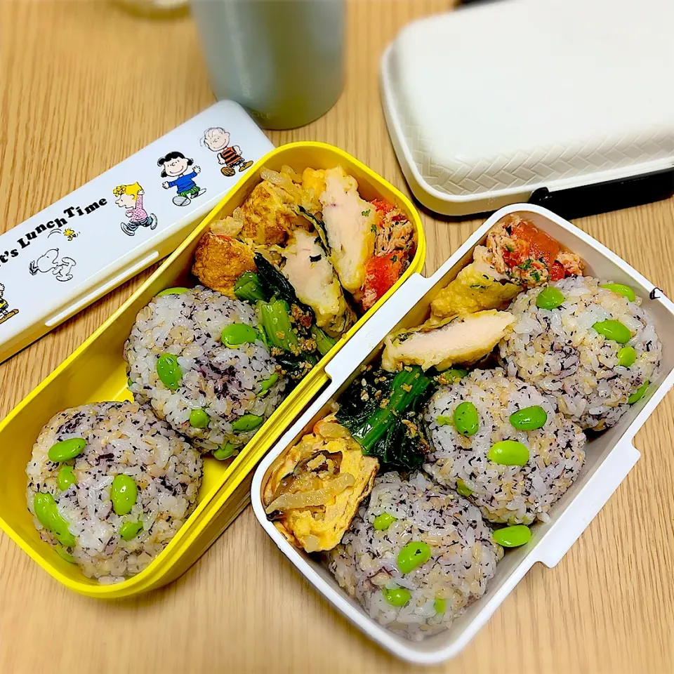 2025.4.17  お弁当|もっさんさん