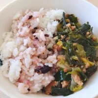2025 0416 　お昼ご飯|いもこ。さん