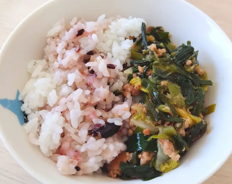 2025 0416 　お昼ご飯|いもこ。さん