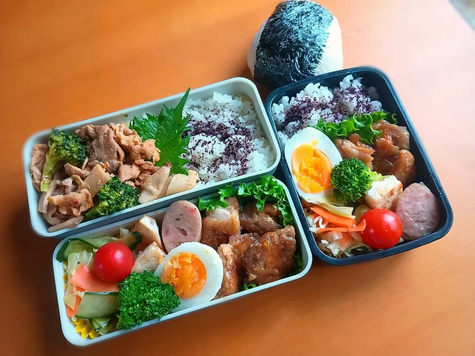 次男・私弁当&おにぎり🍙|tamagomagomagoさん