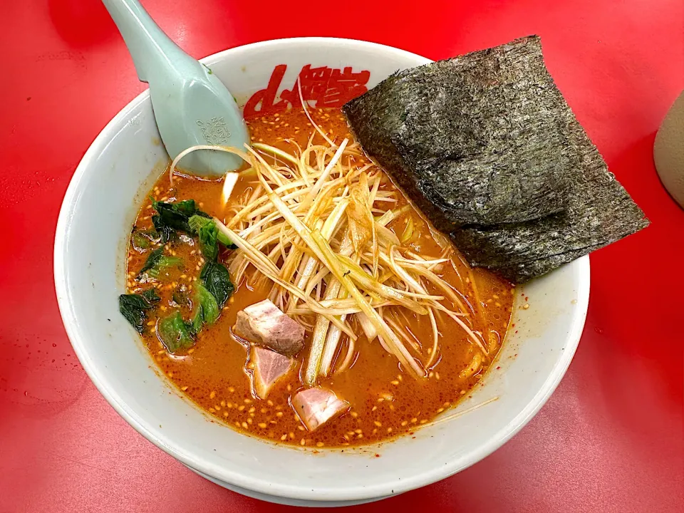 人生初　山岡家🍜　辛味噌ネギ　美味しい😋|BUBUさん