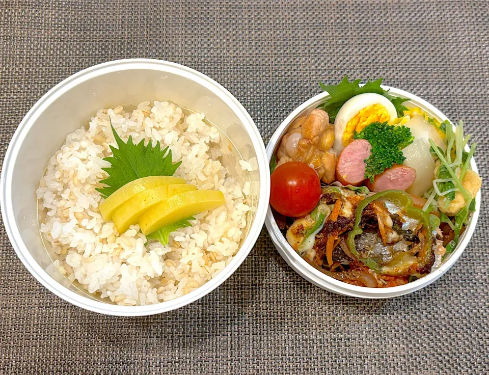 高校生息子のお弁当🍱 鮭のチーズ焼き弁当🍱|Snow10さん