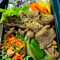 お婆ちゃん👵の手作り弁当|あーちゃんさん