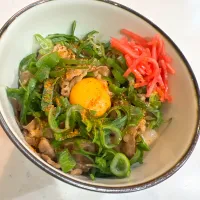 ネギたま牛丼|Mihoさん