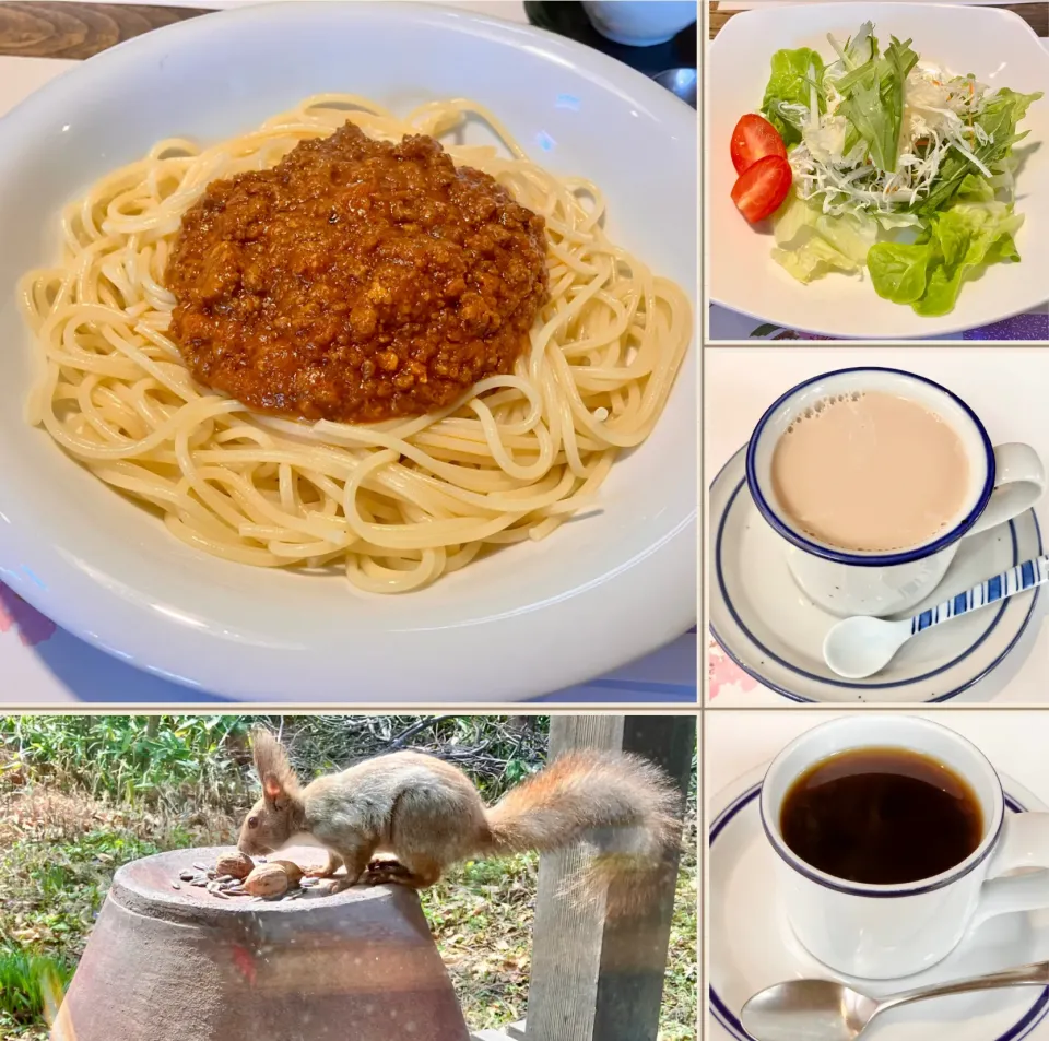週末3日間だけ営業の隠れ家的なお店でエゾリスを見ながら和みランチ|akopeko ◡̈⋆さん