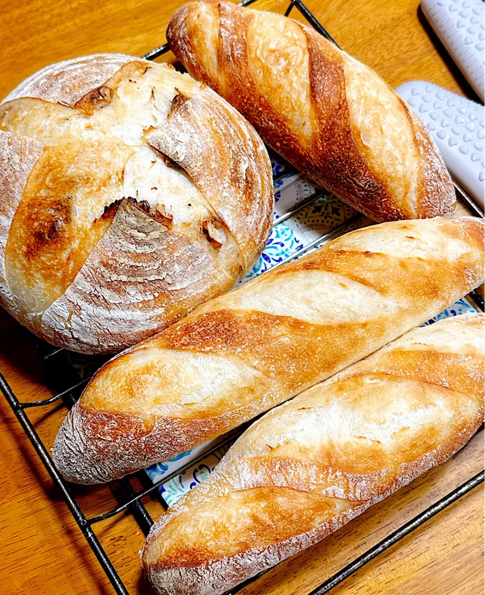 2025/04/18 Pain de campagne aux noix et baguette Avalon 胡桃のパンドカンパーニュとアバロンのバゲット|Blueberry🫐さん