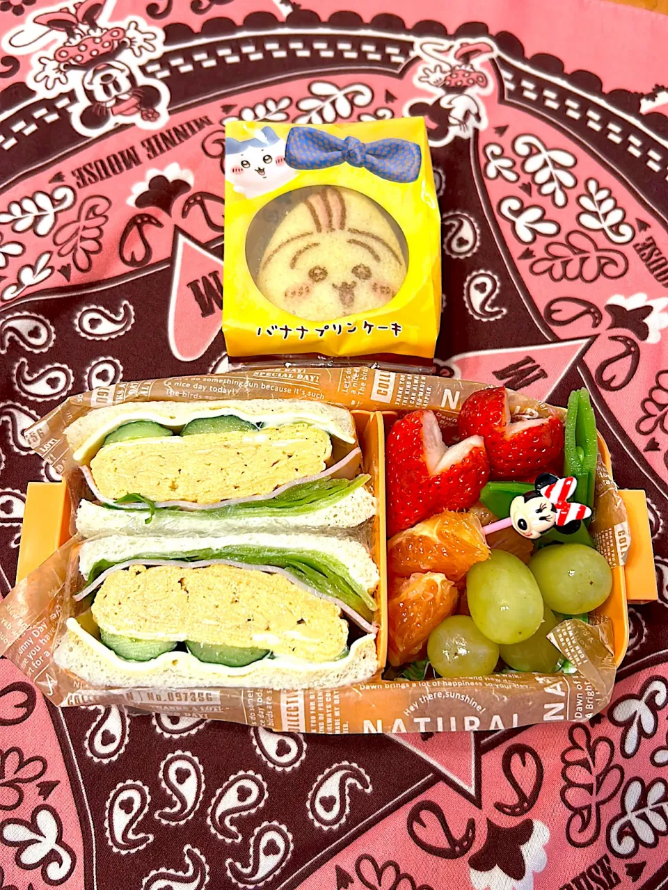 2025 4月19日　娘ちゃん登校日弁当|あけみさん