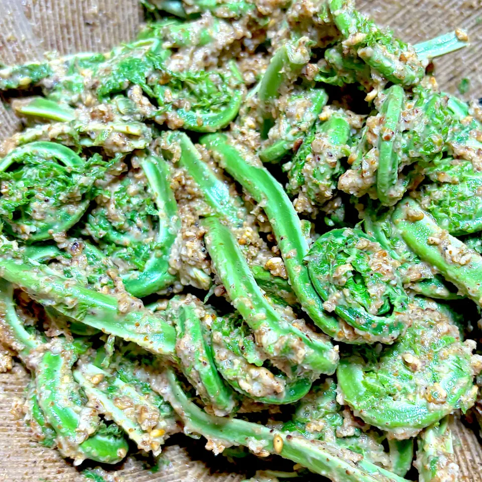 こごめ胡麻和え|misakoさん