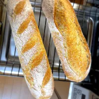 オーバーナイトハードブレッド！|もにゃこさん