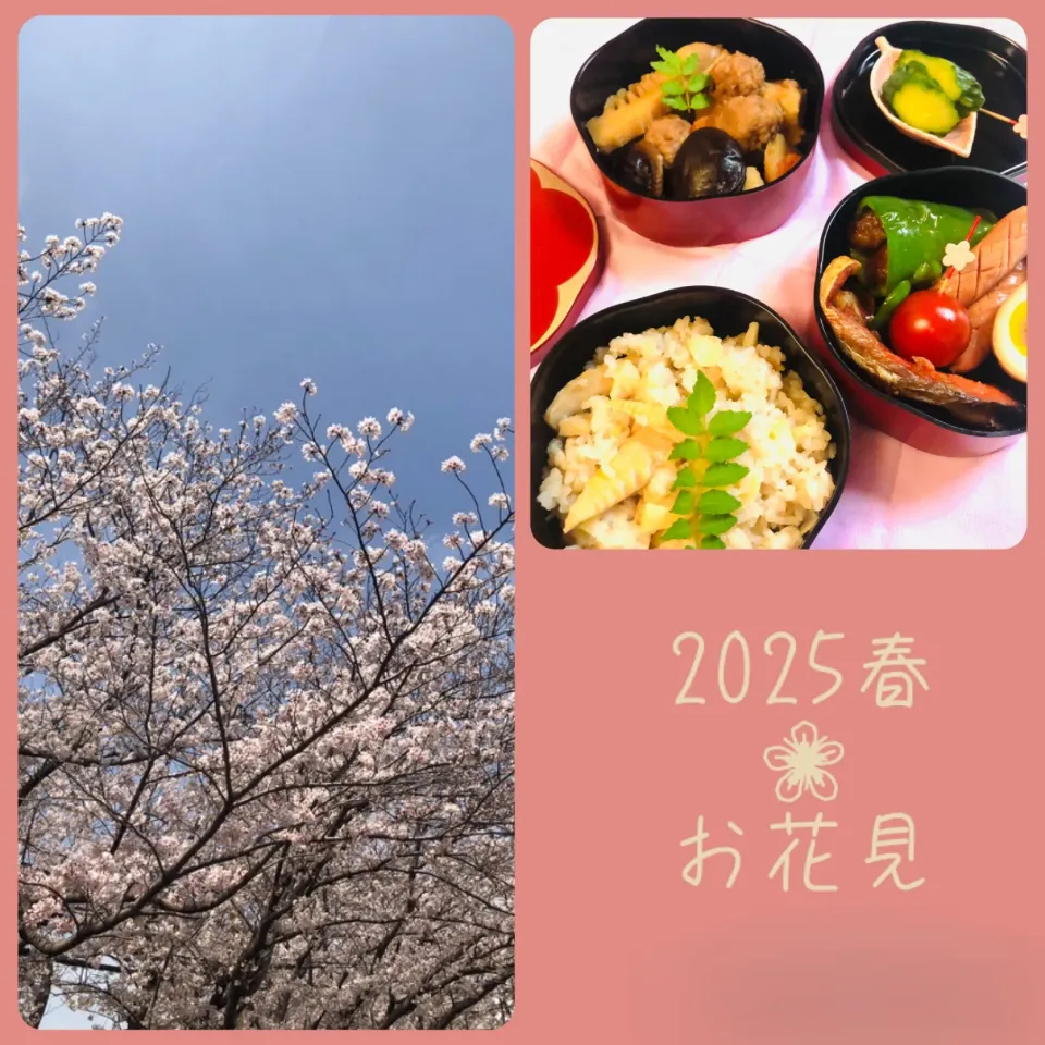 お花見弁当🌸|ユミさん