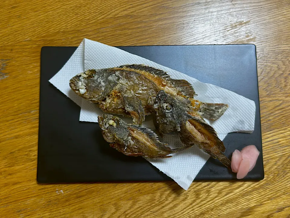 4/20 カサゴの唐揚げ|ゆさん
