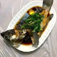 |KaRenさん