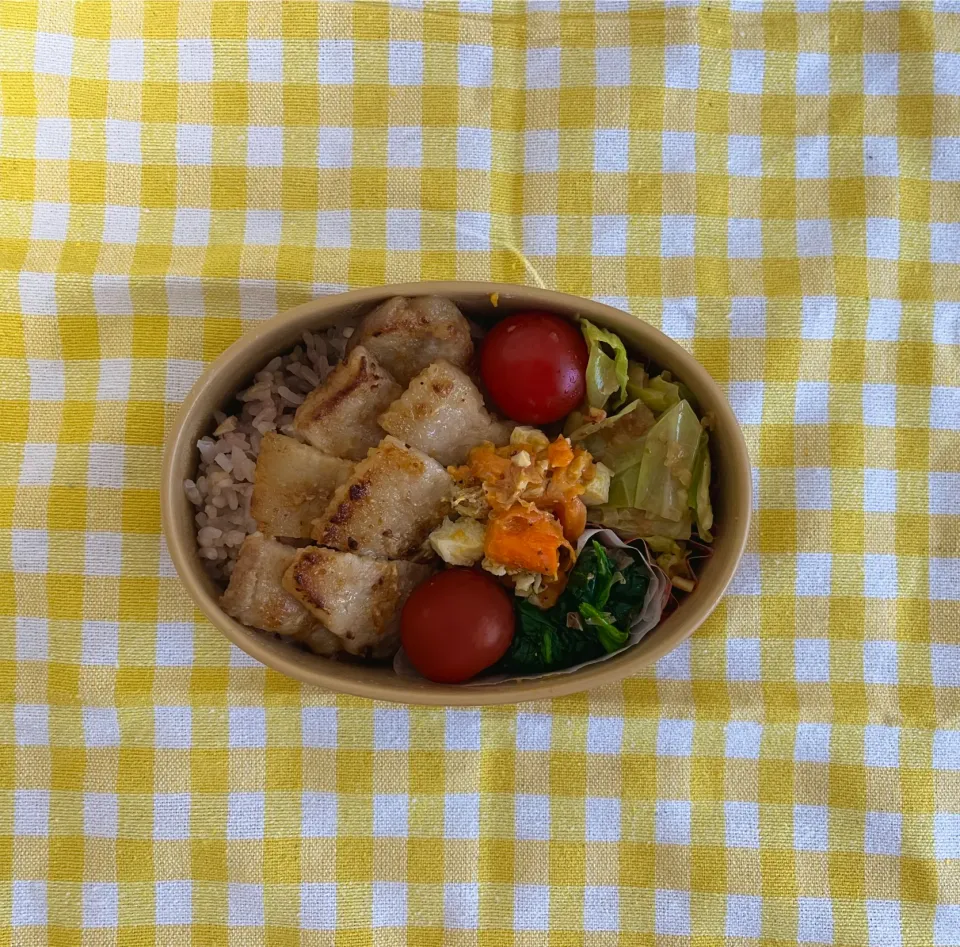 豚バラ塩麹焼き、肉みそキャベツなど弁当|自炊始めたよんさん