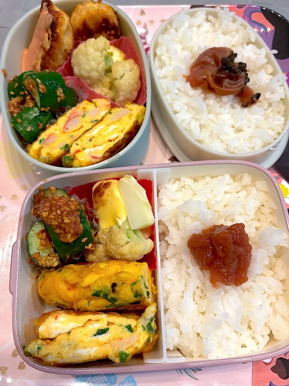2025/4/21 娘と私の弁当|なかみほさん