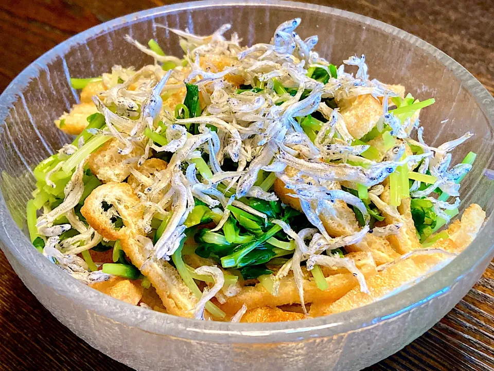 カリカリ油揚げ・豆苗・しらすの和え物|mottoさん