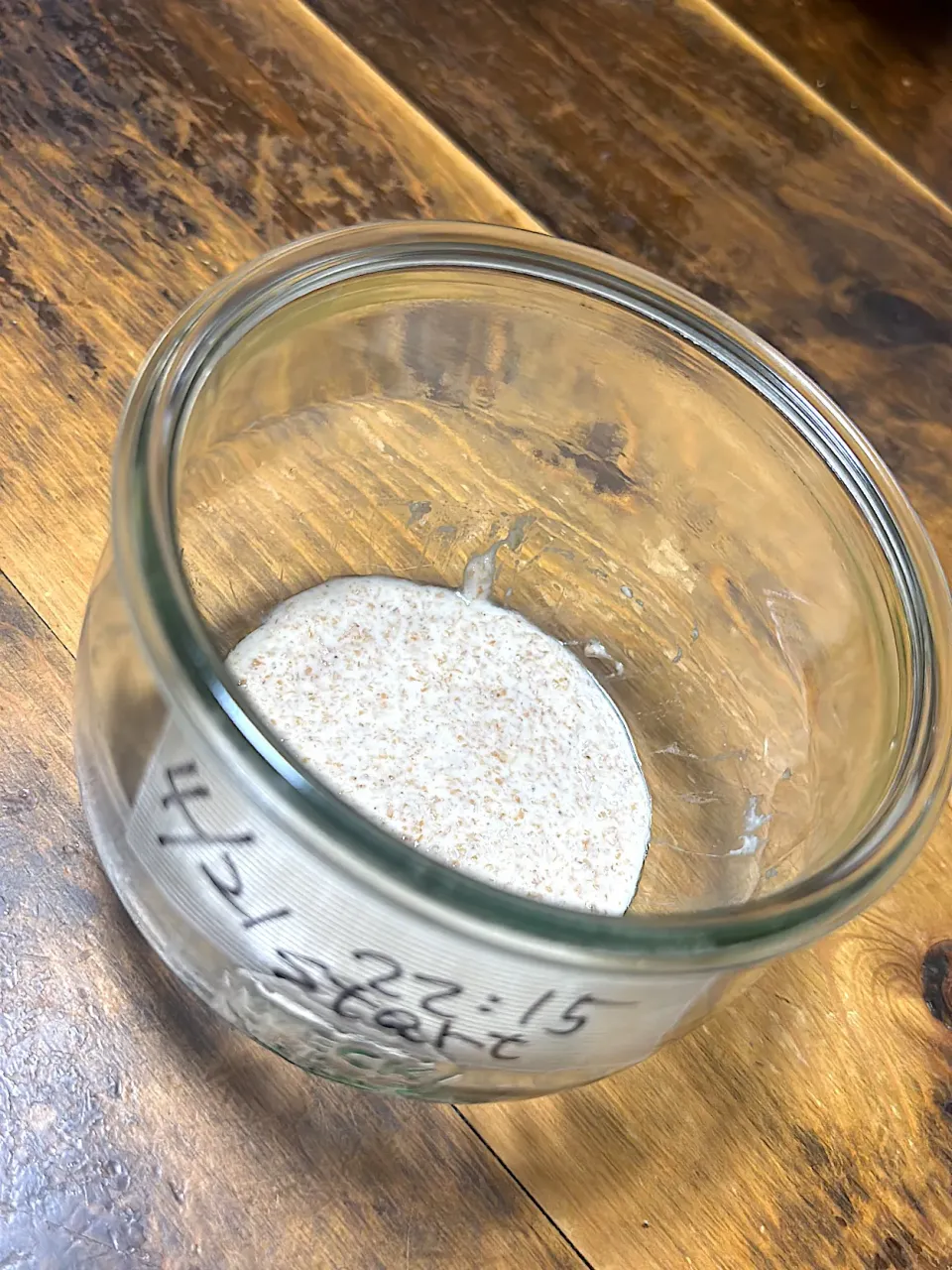 サワードゥ種初日|もにゃこさん