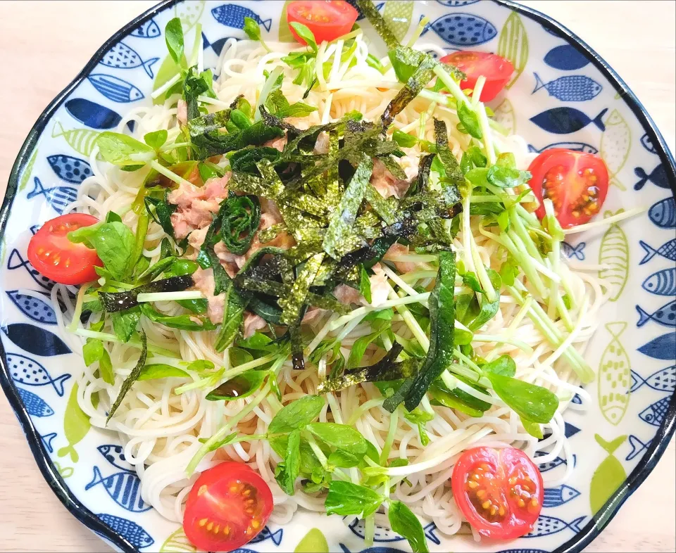 2025 0420　ツナサラダそうめん|いもこ。さん
