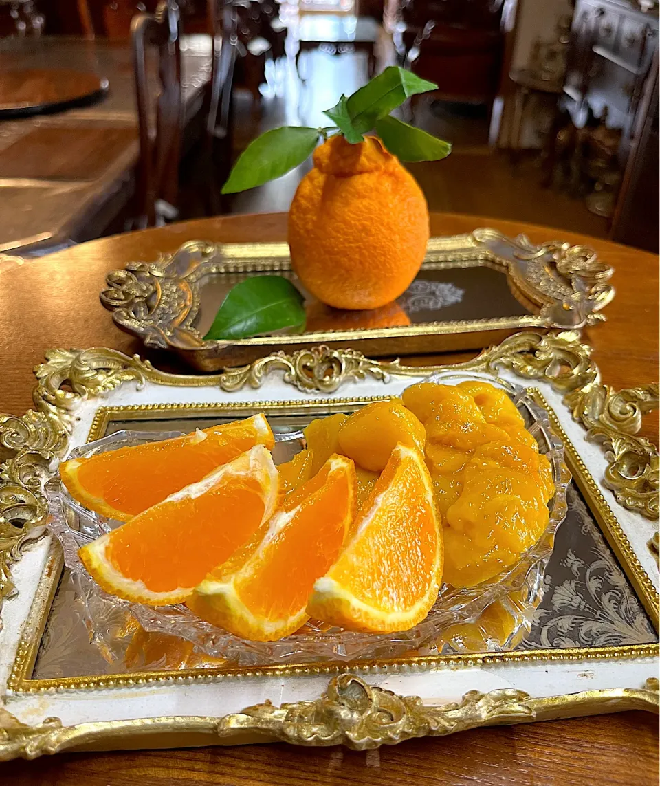 2025蒲郡樹熟デコポン🍊|henryさん