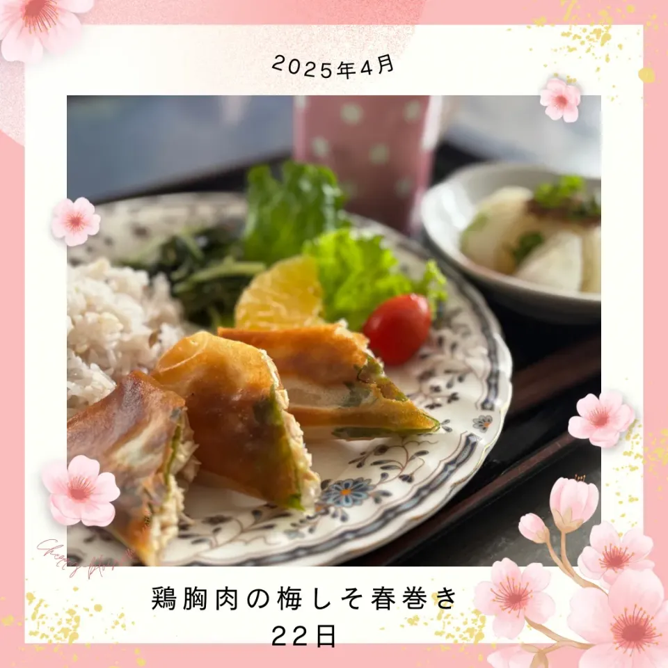 鶏胸肉の梅しそ春巻き|いのっちさん