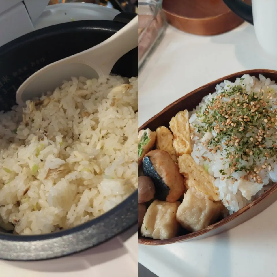 鯛めし弁当|shimarirsさん