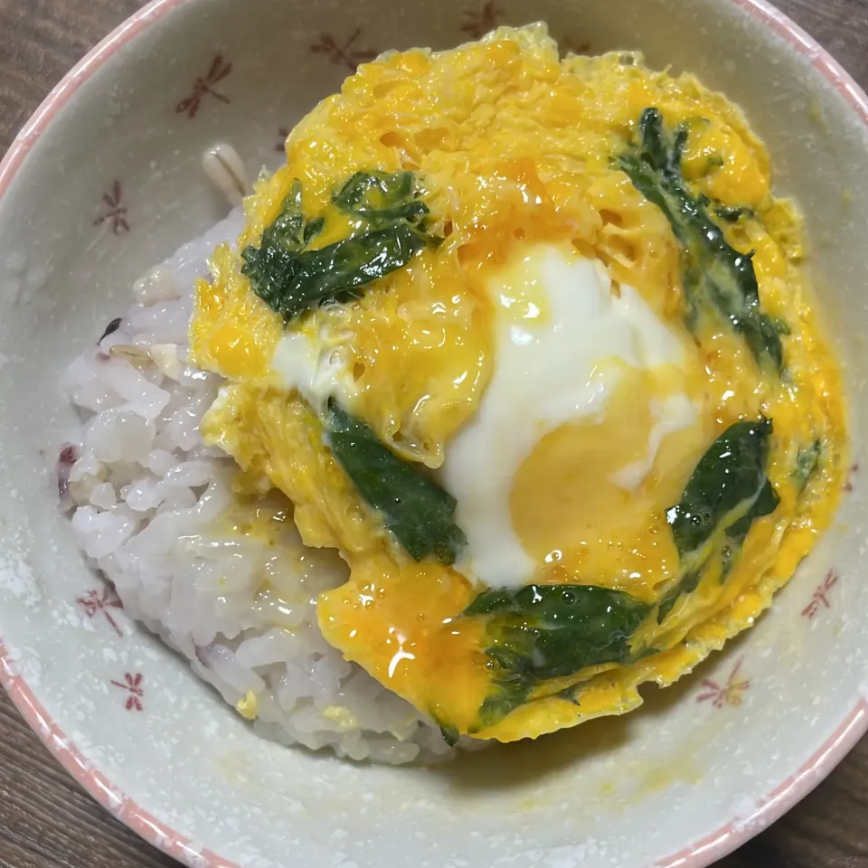 |ごはんーさん