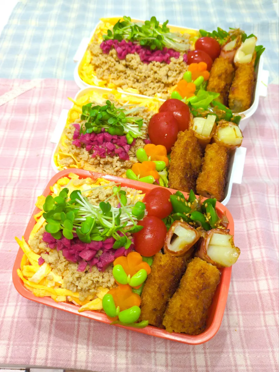 そぼろ丼とか白身魚のフライとか弁当❤|みちゅあしさん