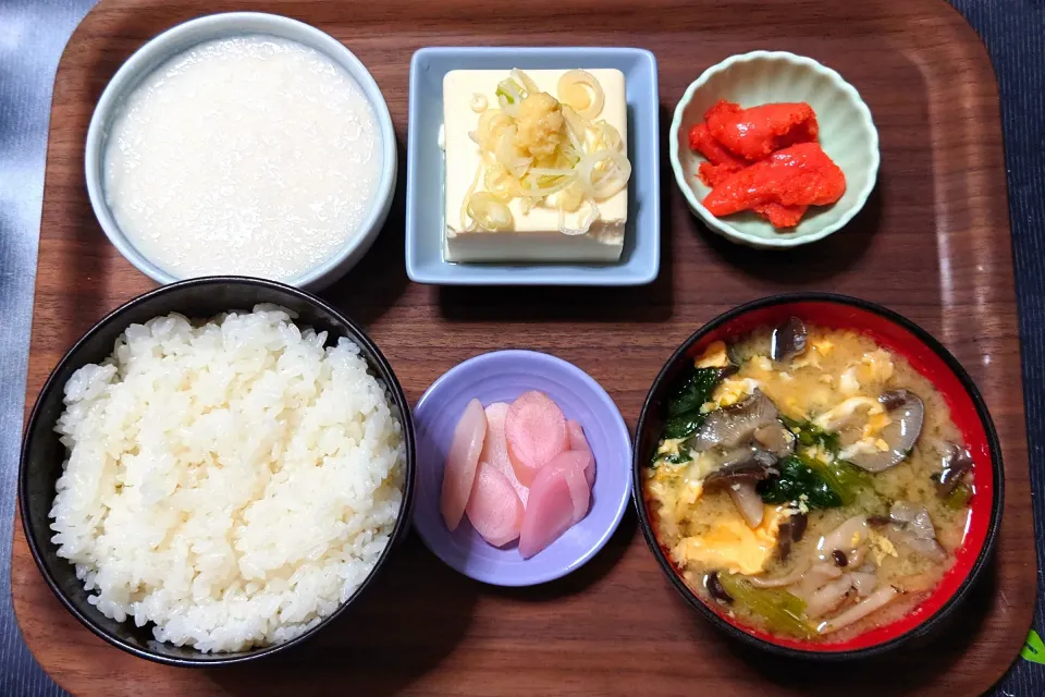 今日の朝ごはん（ごはんは新潟県産ミルキークイーン、辛子明太子（切子）、冷奴、とろろ、ほうれん草と平茸と玉子のみそ汁、岩下の新生姜）|Mars＠釜飯作り研究中さん
