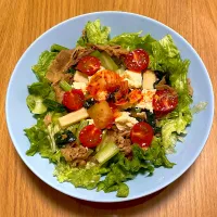 牛丼サラダ丼|☺︎Forestさん