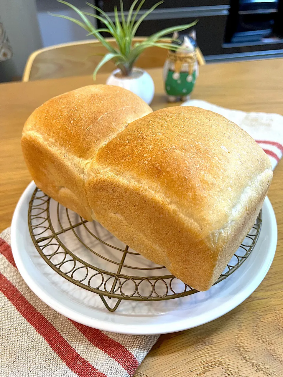 手ごね食パン🍞🍞|ラゴさん。さん