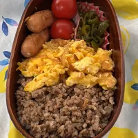 4/23 🍱|Elinaさん