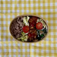豆腐ハンバーグ弁当( ᯅ̈)|自炊始めたよんさん