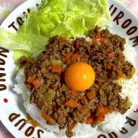 キーマカレー|ケンケンさん