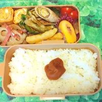 普通のお弁当|8YUKKO8さん