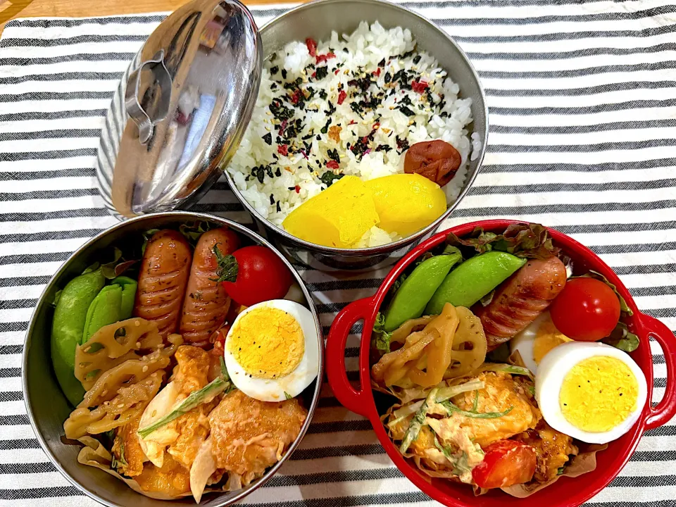 今日のヤツのお弁当（R7.4.23）|え〜かさん