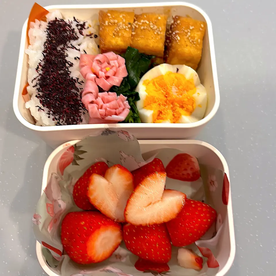お弁当🌸|matumotommさん