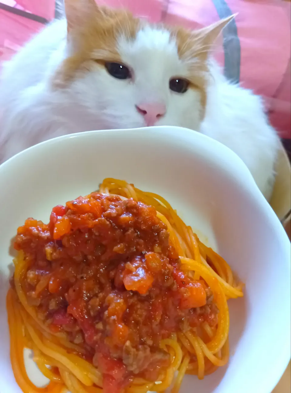 新玉ネギのミートソースパスタ😻|さくらんぼさん