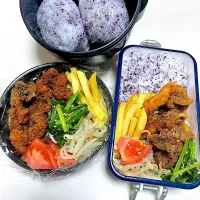 父が作る長男長女弁当🍱| 父が作る弁当さん