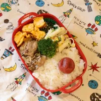 4/24  生姜焼き弁当|母さんのオベント記録さん
