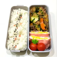 旦那さん弁当🍱|さーりさん