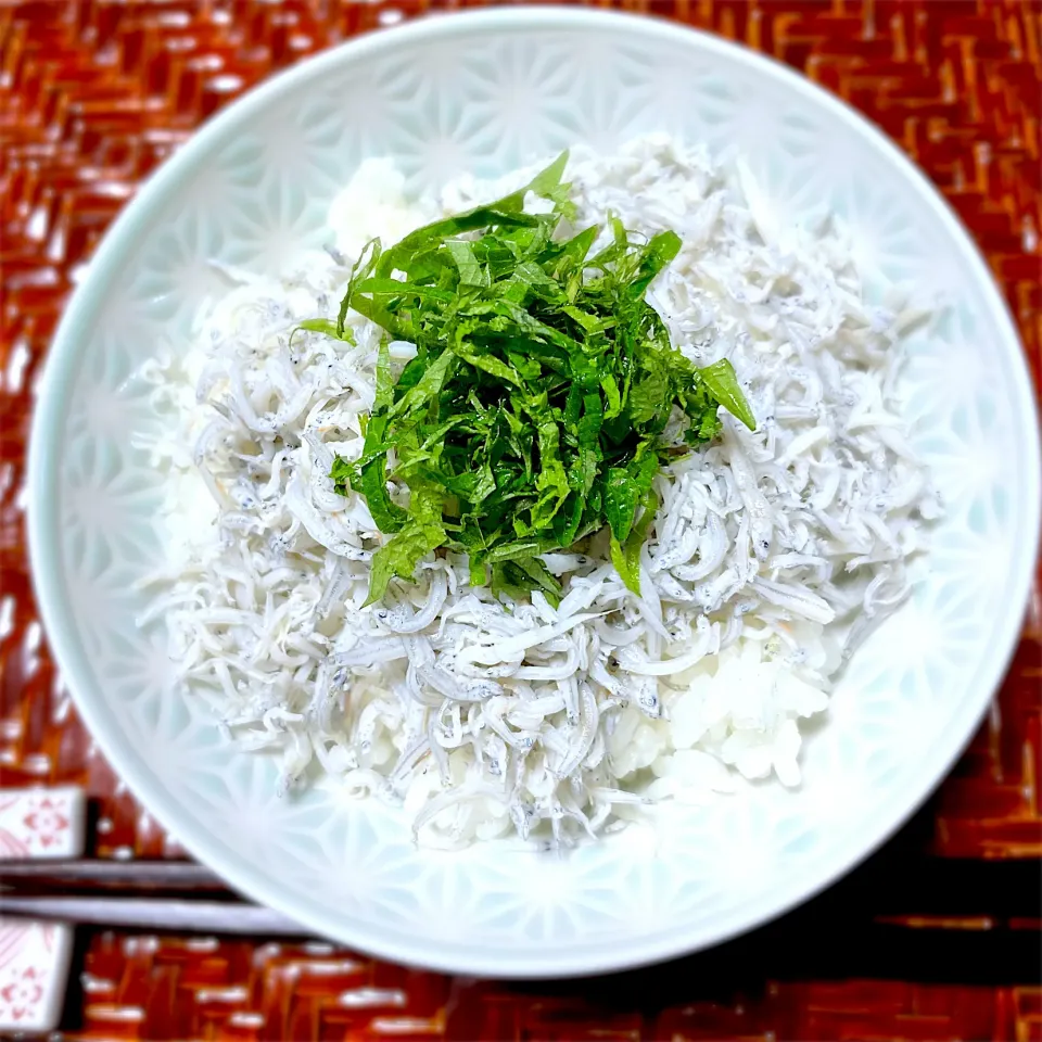 しらす丼|藤田 まり子さん